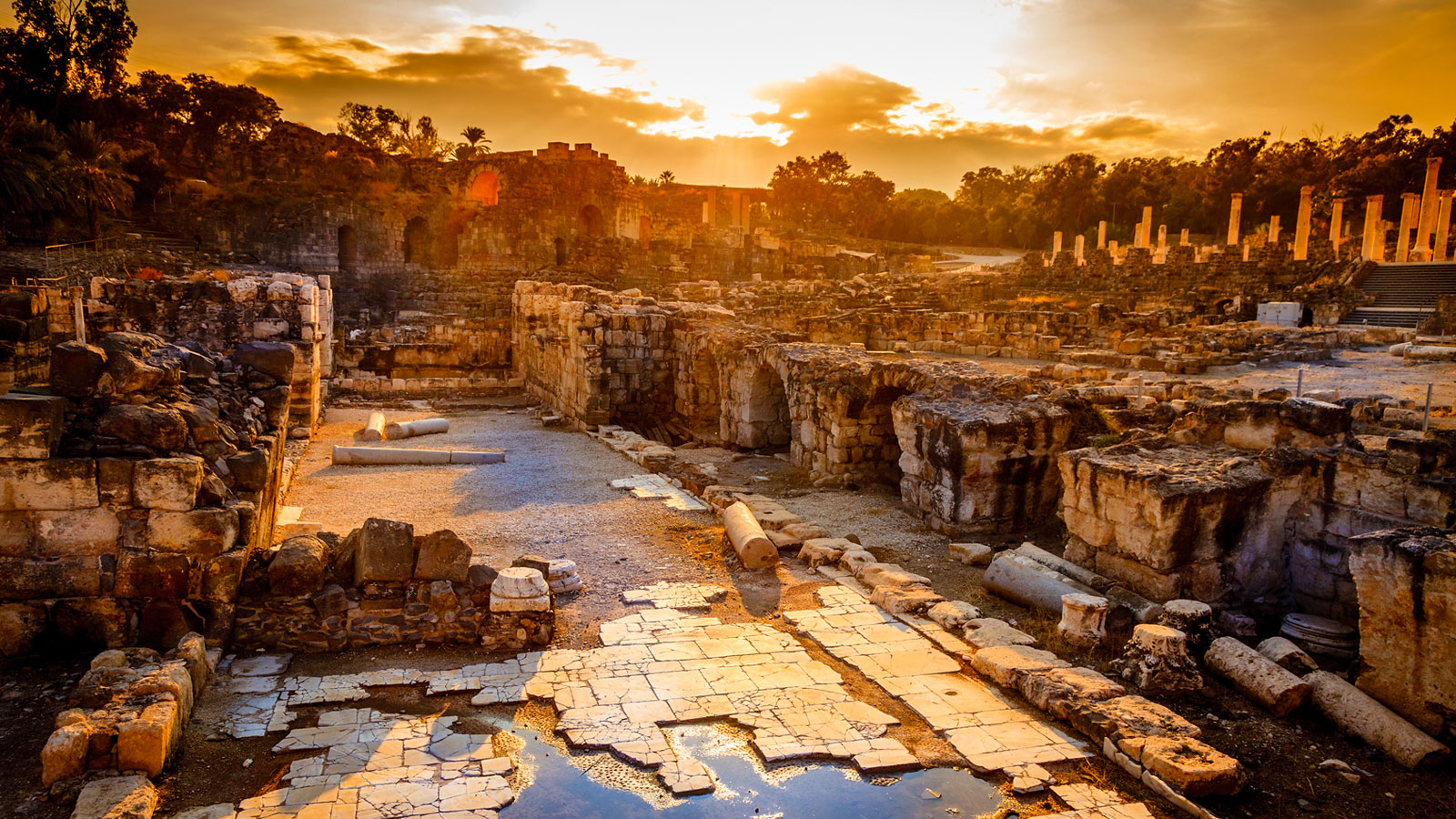 Excursions en Israël