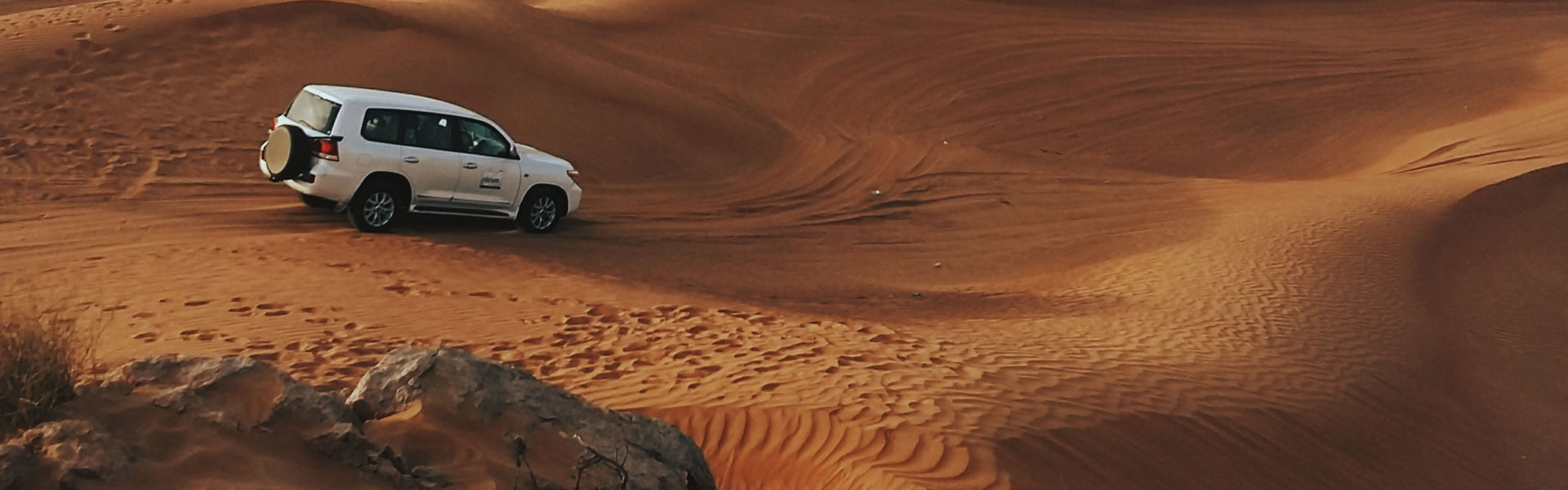 Tour en Jeep dans le désert de Judée